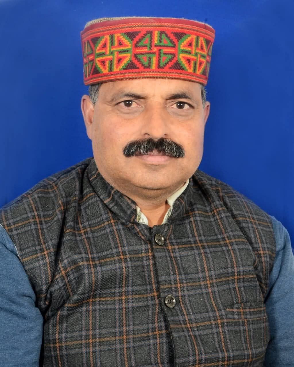 Vice President Photo